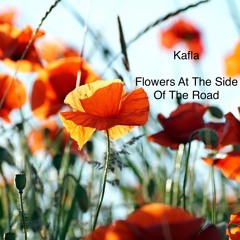 Flowers At The Side Of The Road