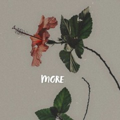 More (feat. Yung elevation) ✨