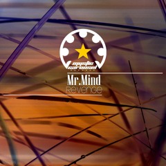 Mr.Mind - Revenge (Original Mix)