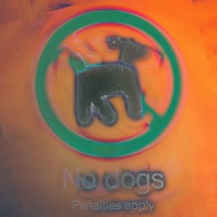 no dogs ~ penalties apply 001
