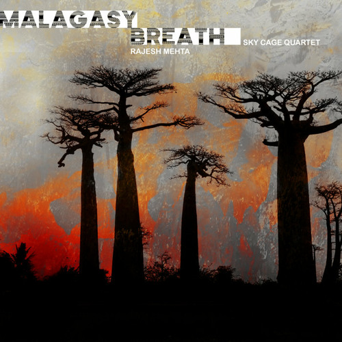 Rajesh Mehta's Sky Cage Quartet - Provocation (Malagasy Breath 2023)