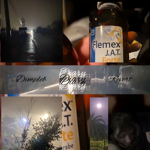 Diary (revert, dimpleb)
