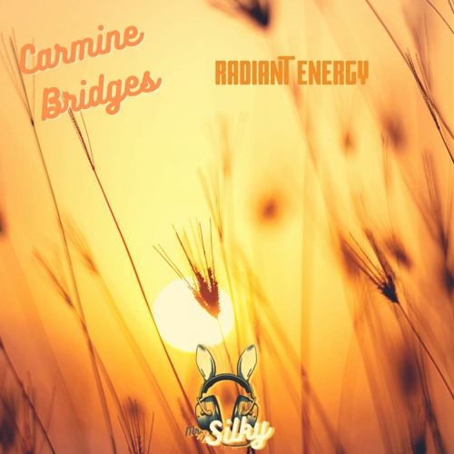 Carmine Bridges - Radiant Energy (Mr Silky's LoFi Beats)