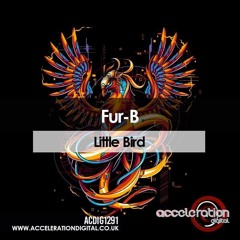 :::: OUT NOW :::: Little Bird [Sample] (Fur - B)