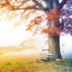 Dear Memories