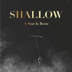 Shallow (Dannii x Kris Cover)