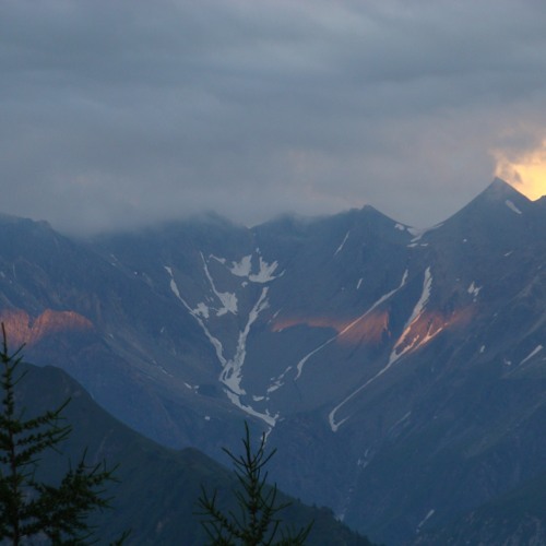 Facing North- sheer sofer
