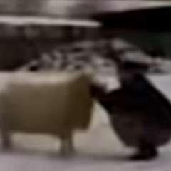 ‹j P‹BяРЗ    ЗF    ^ГММММММU‹м‹MV‹uЌEPQhя   Vи]р ѓДЖ†я    ‹Ж^]ГМММММММU‹м‹EѕЉ„       ‹U3Й„А•Б‰ ]В U‹мЉES‹]VW‹щ€G‹EЗјV ‰G‰_ЌPЉ@„Йuщ3цhш  ЌЏ  +ВVQ‰G‰wи р ѓД‰u;ЮЋь   ‹UЉт€D7ѕАѓјЗ   ЌњЗ  „«   ядQ