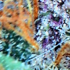 Phonk happy times8 2 25, 12:28 PM.wav