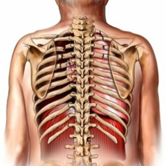 Ribcage (highway motorcycle wreck mix)