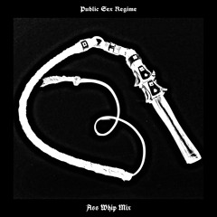 Public Sex Regime - Ass Whip Mix