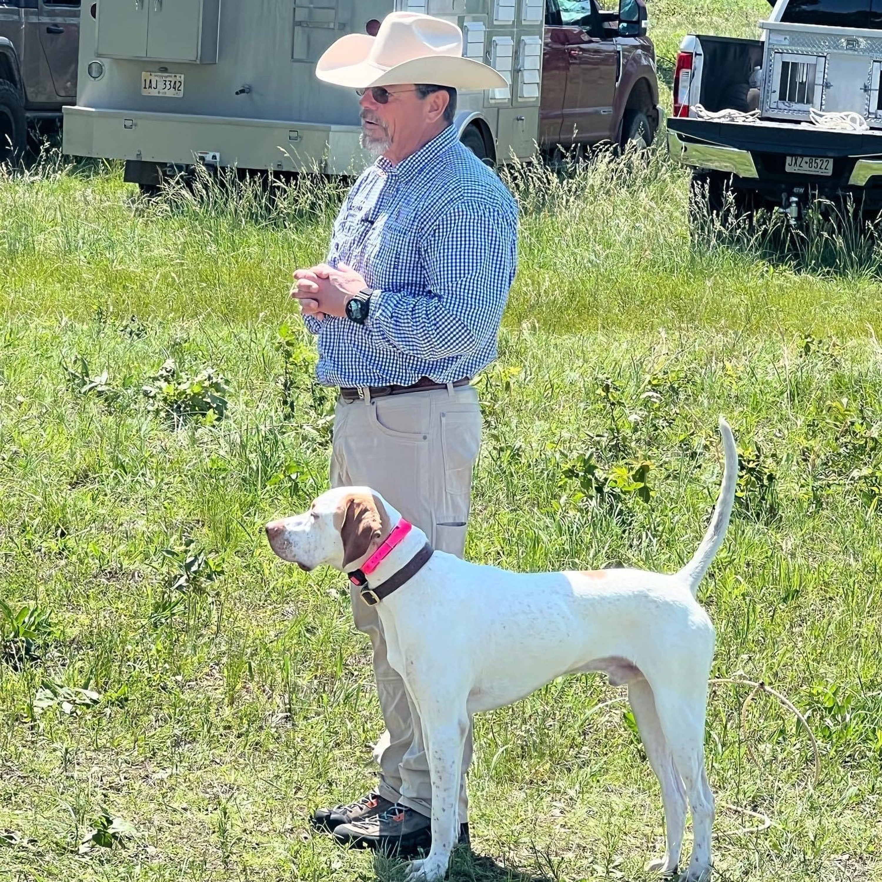 Dr. Dale on Quail