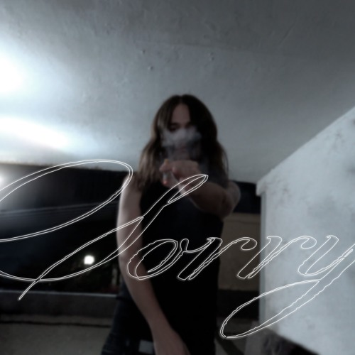 Sorry (prod. biscuit)