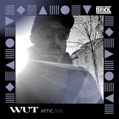 ATTIC 008