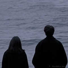 플리 모음