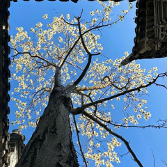 Mixset Winter No Love 2025