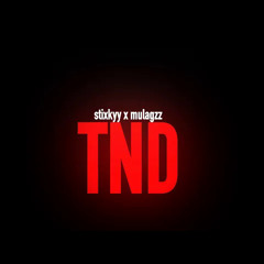 Mula Gzz x Stixkyyy - TND