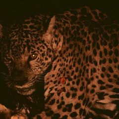 Project_18 ORIGINAL MIX DEMO