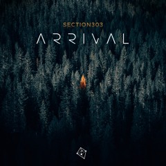Section303 - Arrival (Original Mix) [Preview]