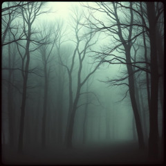 Whispers of Dusk (released soon)