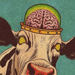 STARDIE - CRAZY COW [FREE DL]