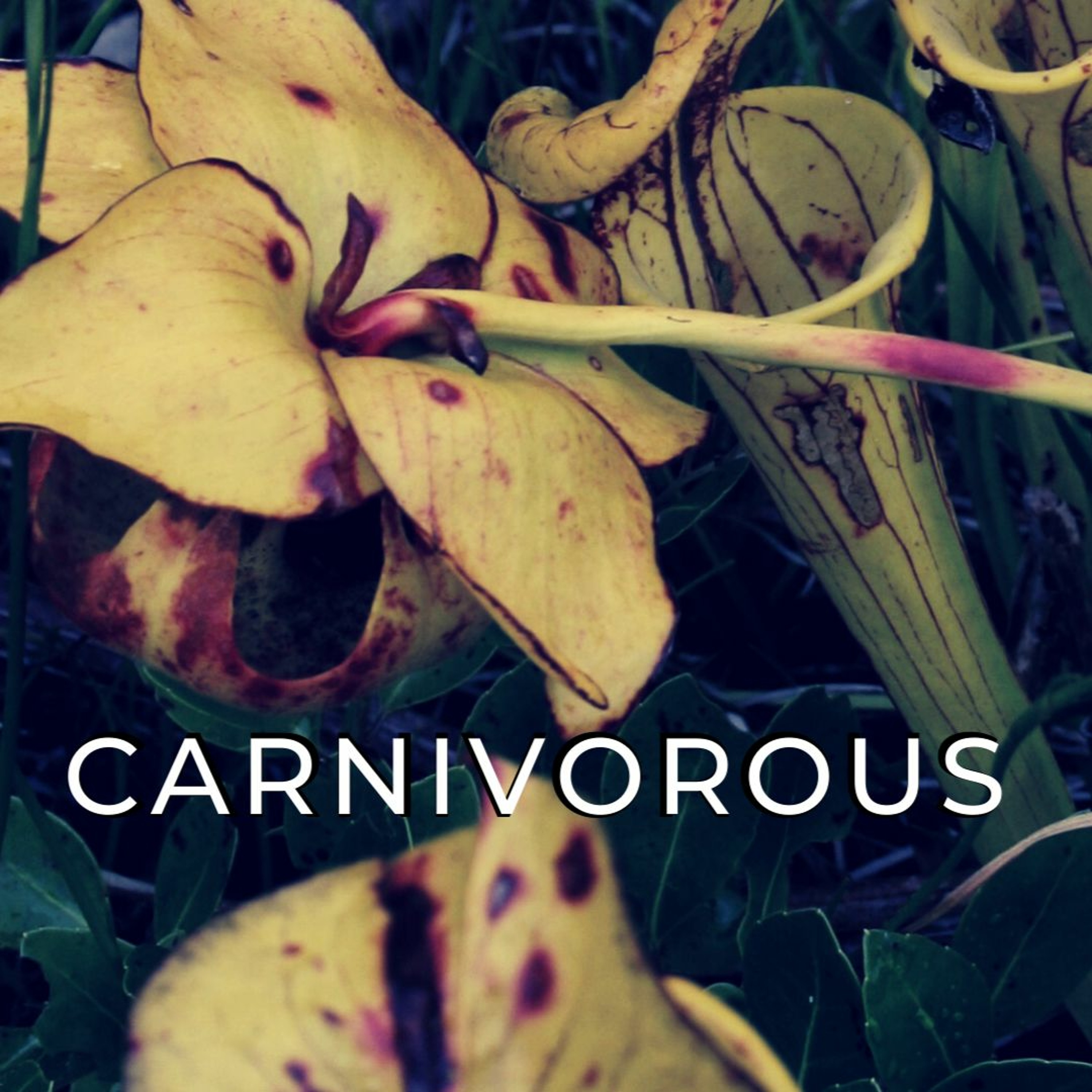 CARNIVOROUS - Part I episode artwork