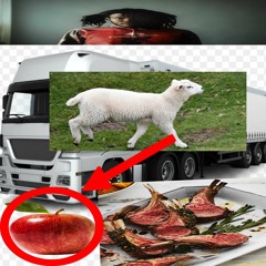 im in the lamb truck who stoppin me
