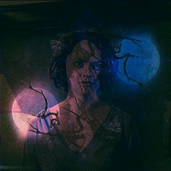 Prophetic Illusions Vol. 2