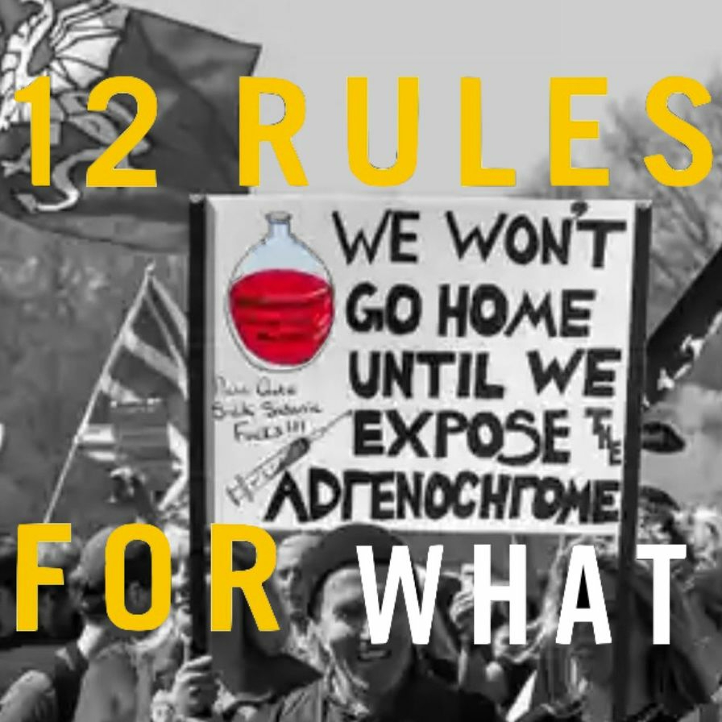 12 Rules For WHAT