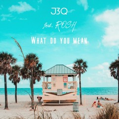 FADO - What Do You Mean (feat. ROSH)