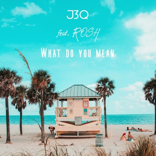 FADO - What Do You Mean (feat. ROSH)