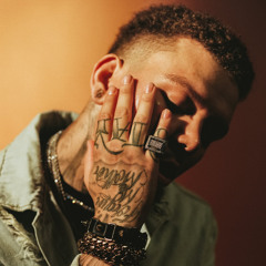 phora - damaged inside