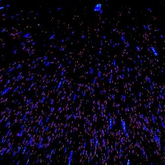 spaceplay
