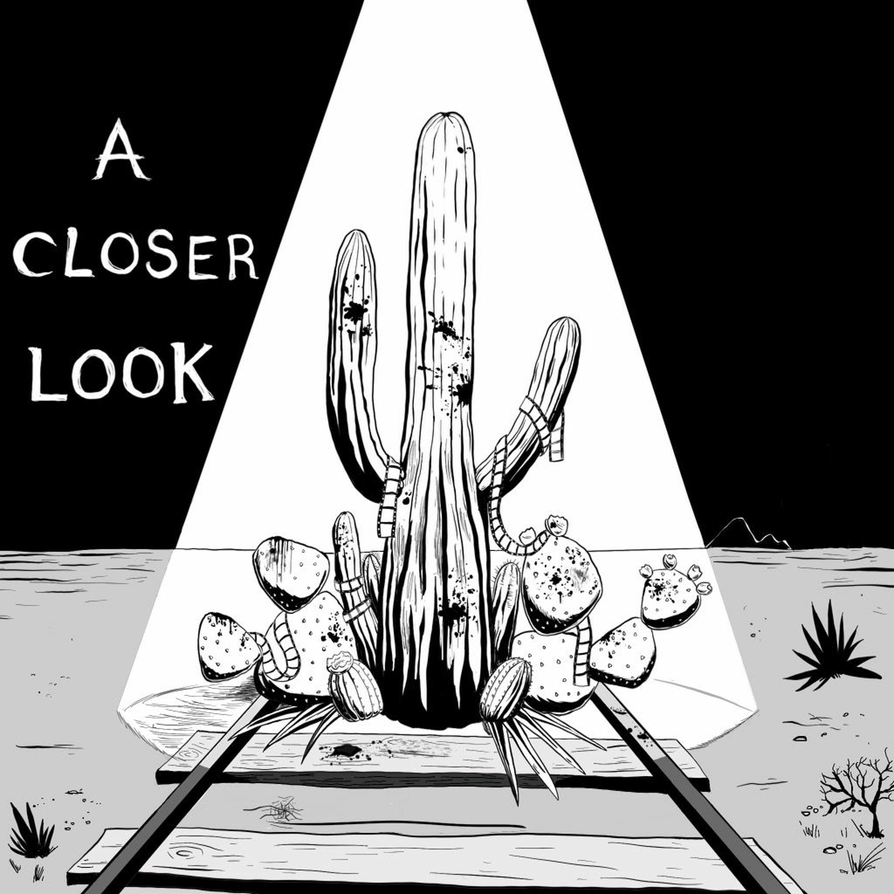 A Closer Look Podcast