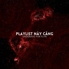 Playlist Này Căng (Trap x Drill x Vinahouse) - B Ray, HIEUTHUHAI, Andree, RPT MCK, Wxrdie, Obito,..