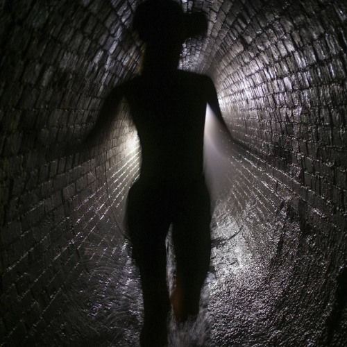 N3V4 S70P p. TREETIME