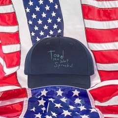 Toad The Wet Sprocket Hat Embroidered