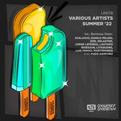 Danilo Milani - If You (Original Mix) Preview