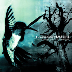 Rosasharin - Episode I: Dialogue Upon Crashlanding
