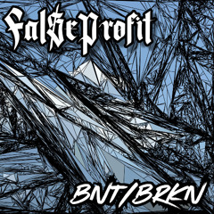 FAL$E PROFIT - BNT_BRKN