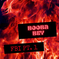 FBI PT.1