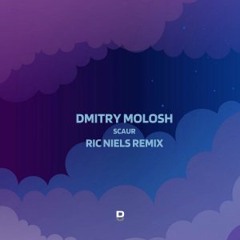 PREMIERE: Dmitry Molosh - Scaur (Ric Niels Remix) [Deepwibe Underground]