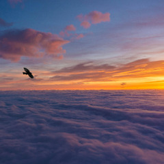 Catching the Sky