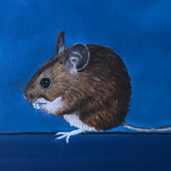 The Mouse