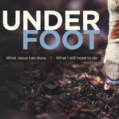 Underfoot 1