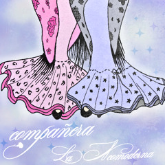 compañera