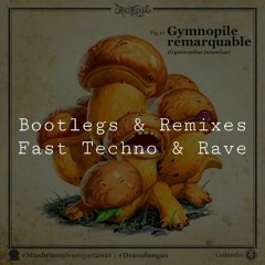 [RMX/VA] Rave Techno 4x4 Bootlegs | Q6 (443)
