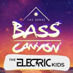 Stranger Than Fiction Bass Canyon 2023 Set