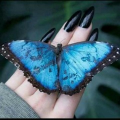 خلقت ملكة 👑💙