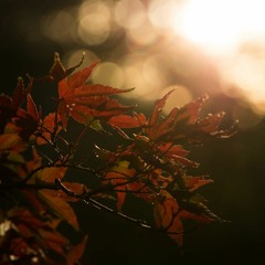 Deep House Sessions Autumn 21